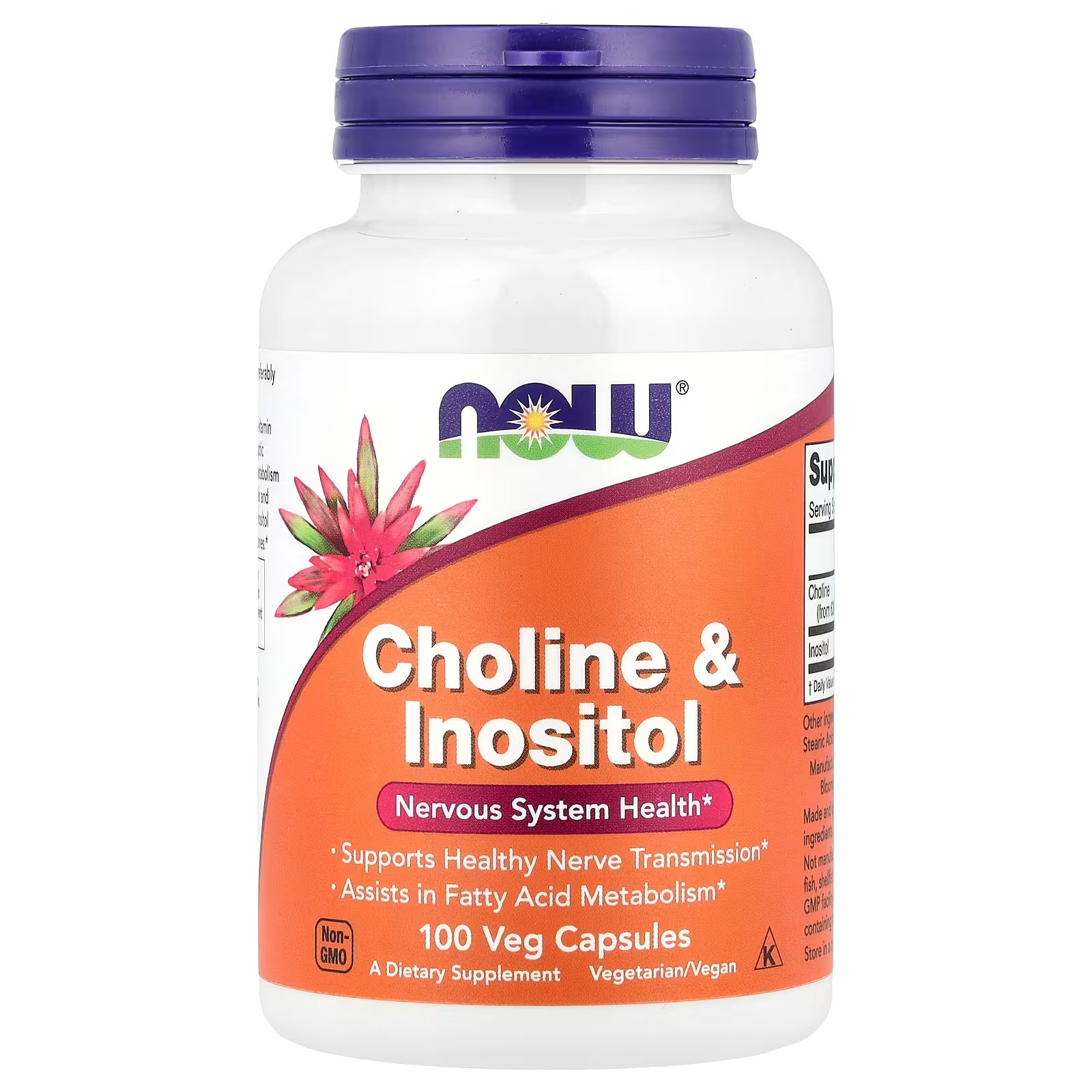 NOW Foods Choline & Inositol Nervous System Health 100 Capsules
