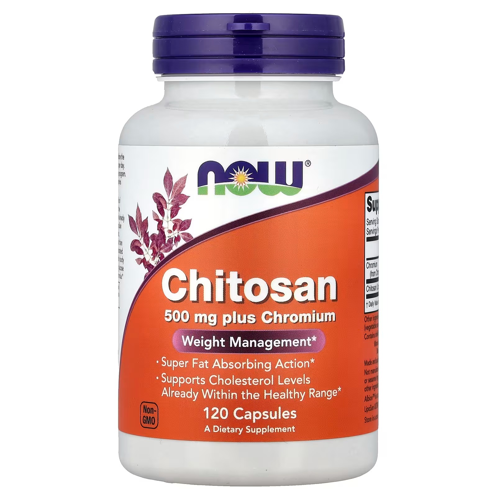 NOW Foods Chitosan plus Chromium Weight Management 120 Capsules