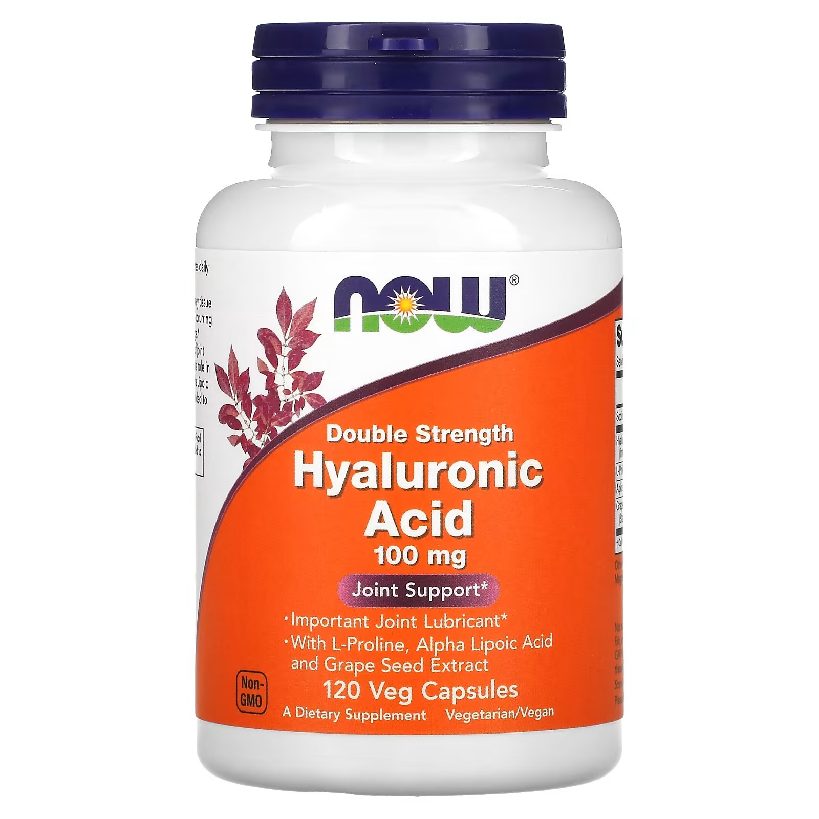 NOW Foods Hyaluronic Acid Grape Seed Extract 100 mg 120  Capsules