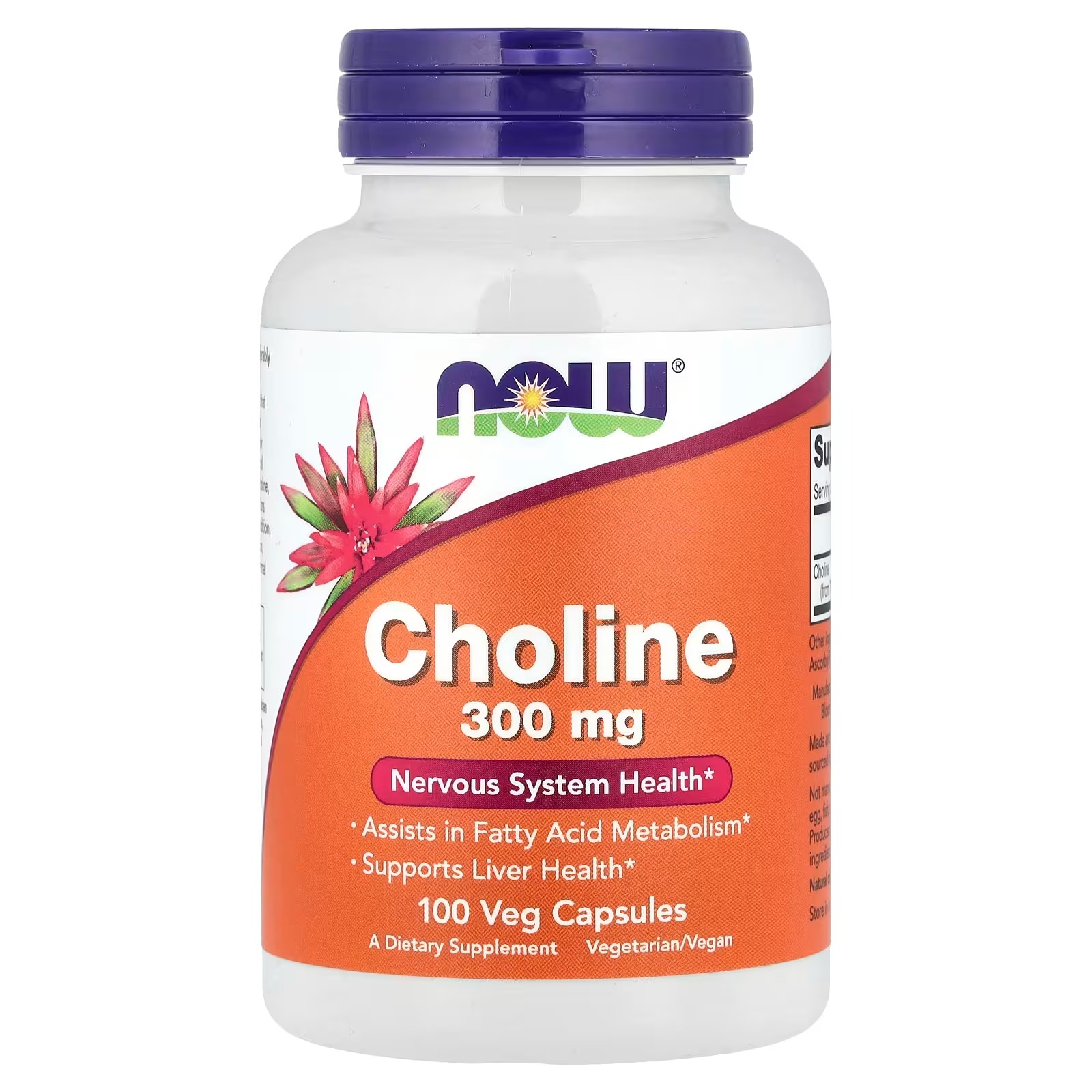 NOW Foods Choline 300 mg Nervous System Health 100 Capsules