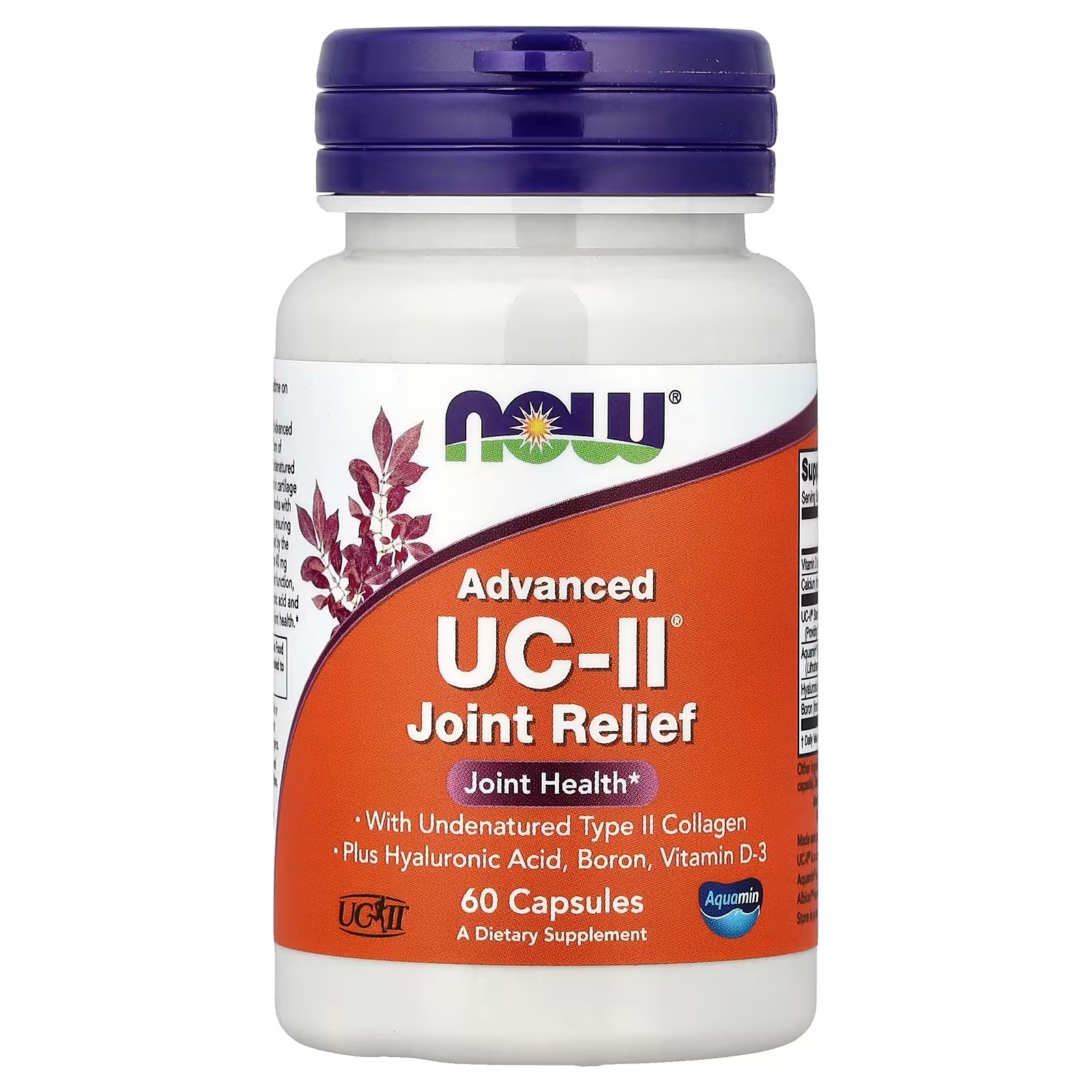 NOW Foods Advanced UC-II® Joint Relief 60 Capsules