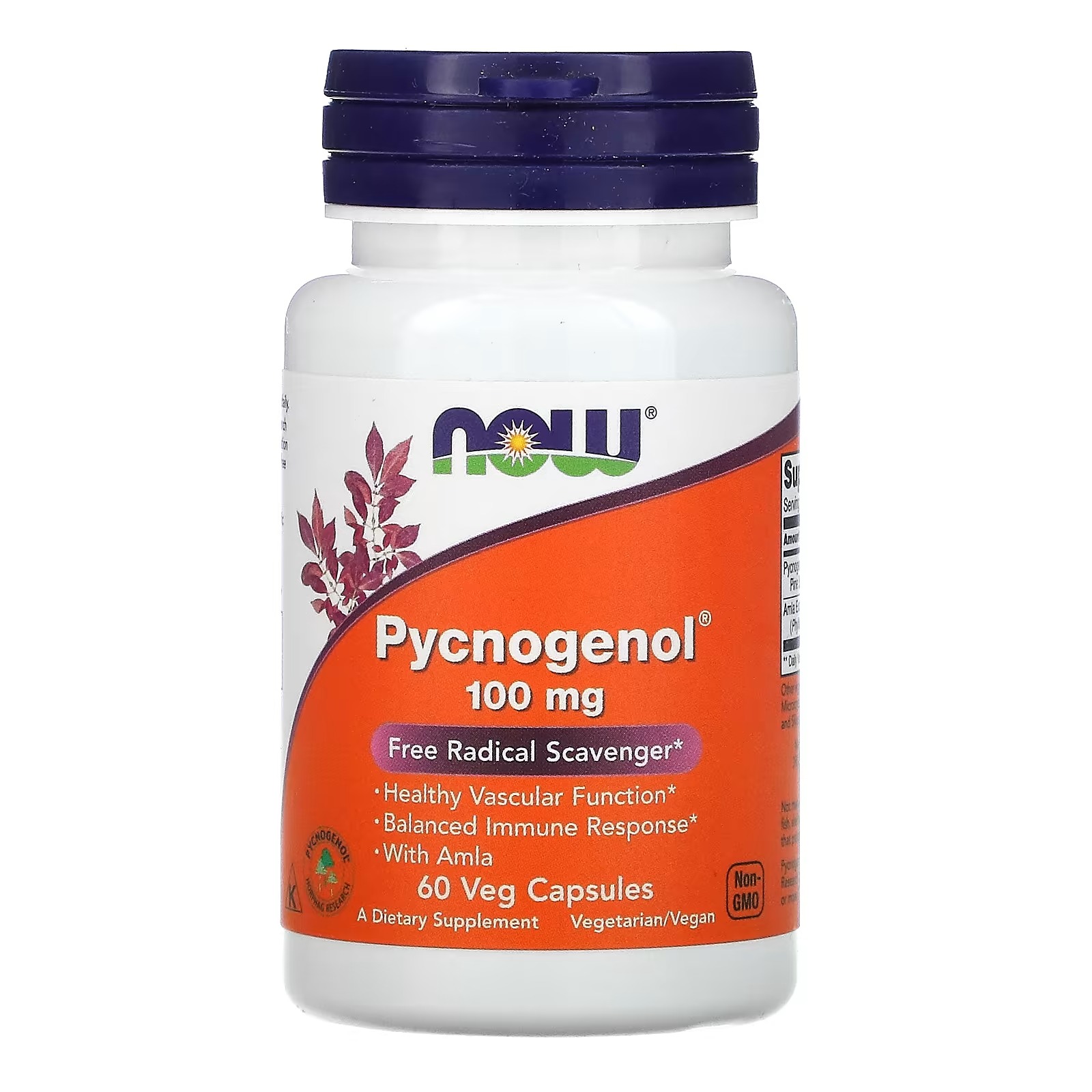 NOW Foods Pycnogenol® With Amla Healthy Vascular Function 60 Capsules