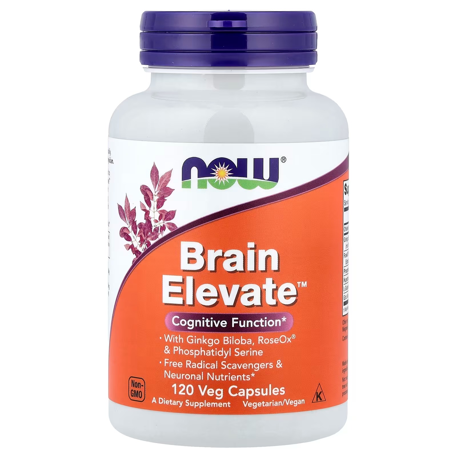 NOW Foods Brain Elevate™ With Ginkgo Biloba, RoseOx®  & Phosphatidyl Serine 120  Capsules