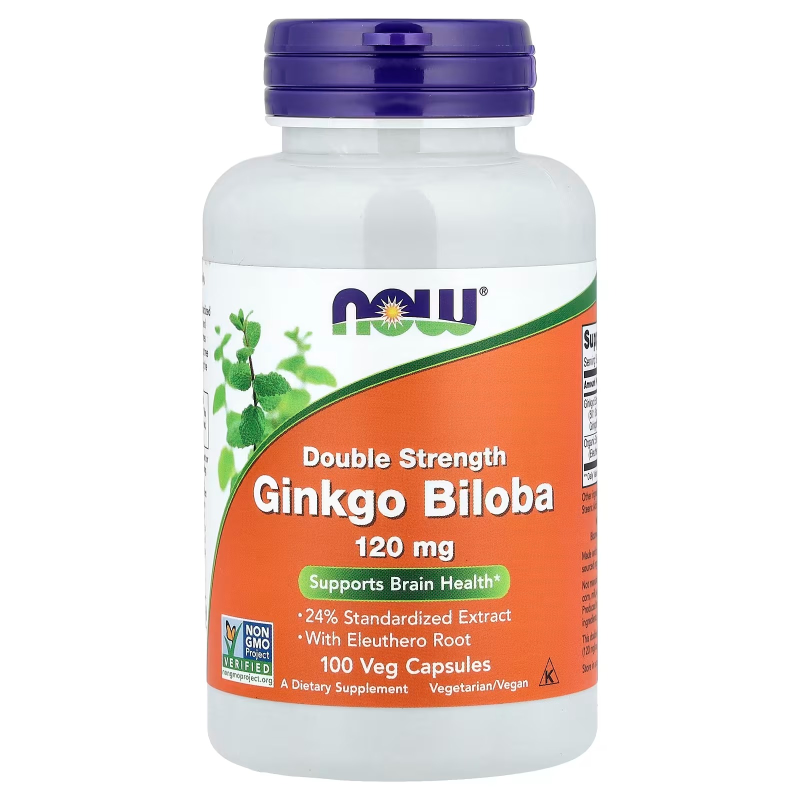 NOW Foods Ginkgo Biloba With Eleuthero Root 100 Capsules