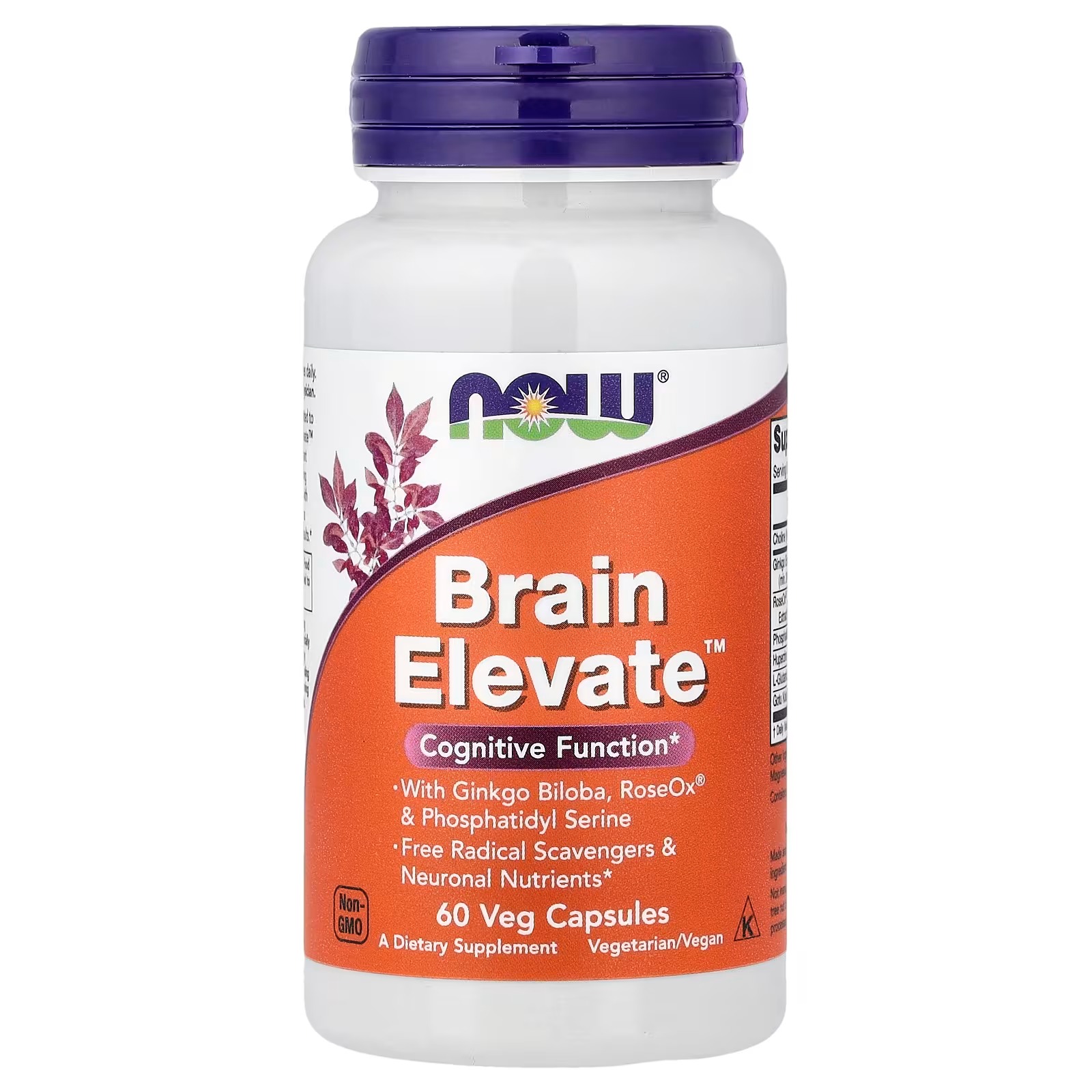 NOW Foods Brain Elevate™With Ginkgo Biloba, RoseOx® and Phosphatidyl Serine 60  Capsules
