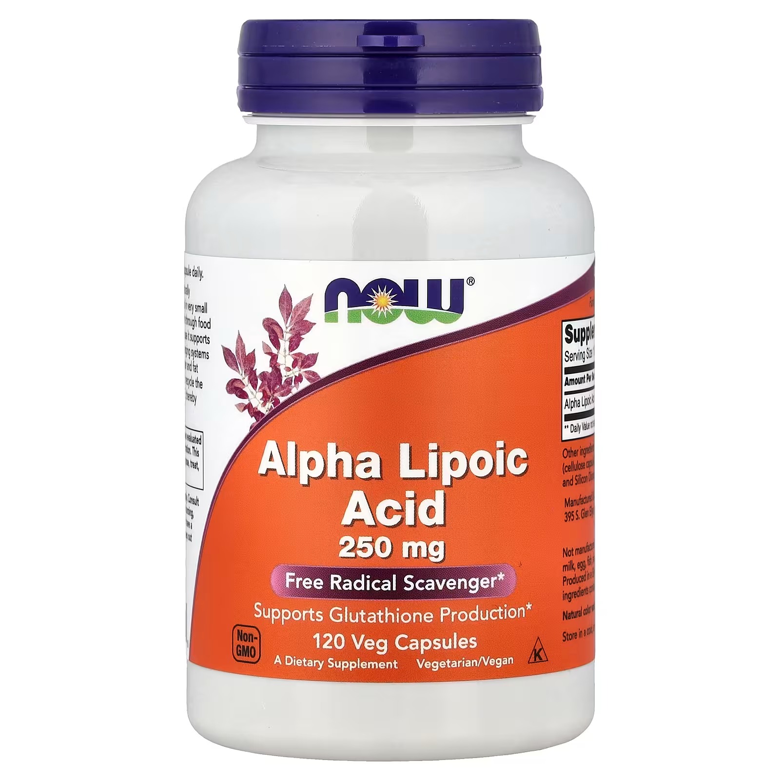 NOW Foods Alpha Lipoic Acid 250mg 120 Vegetable Capsule