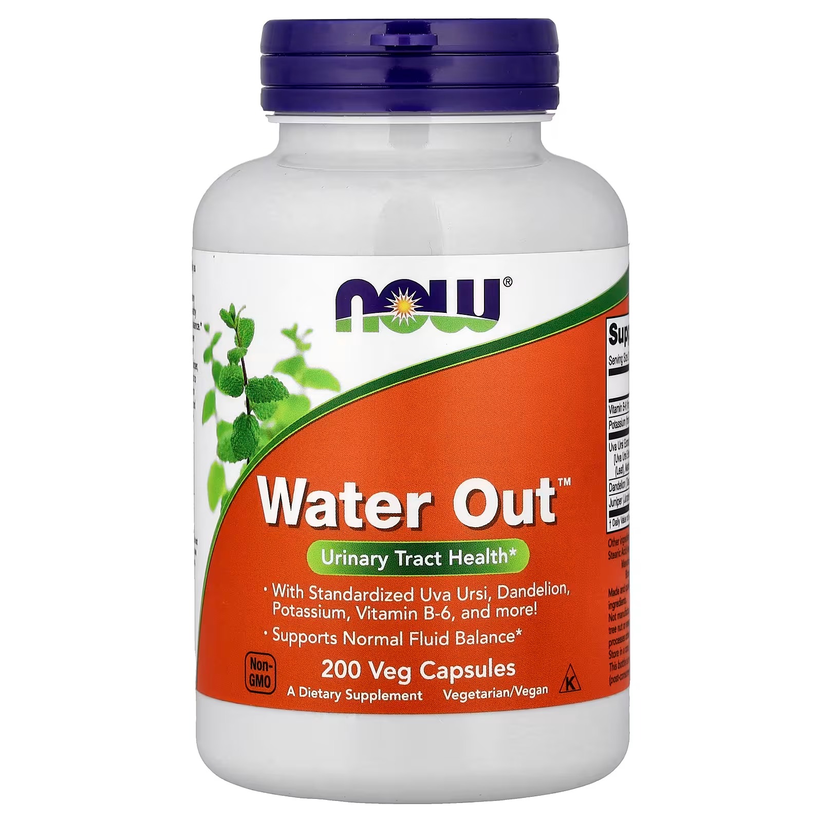 NOW Foods Water Out With Standardized Uva Ursi Dandelion Potassium and Vitamin B-6 100 Capsules