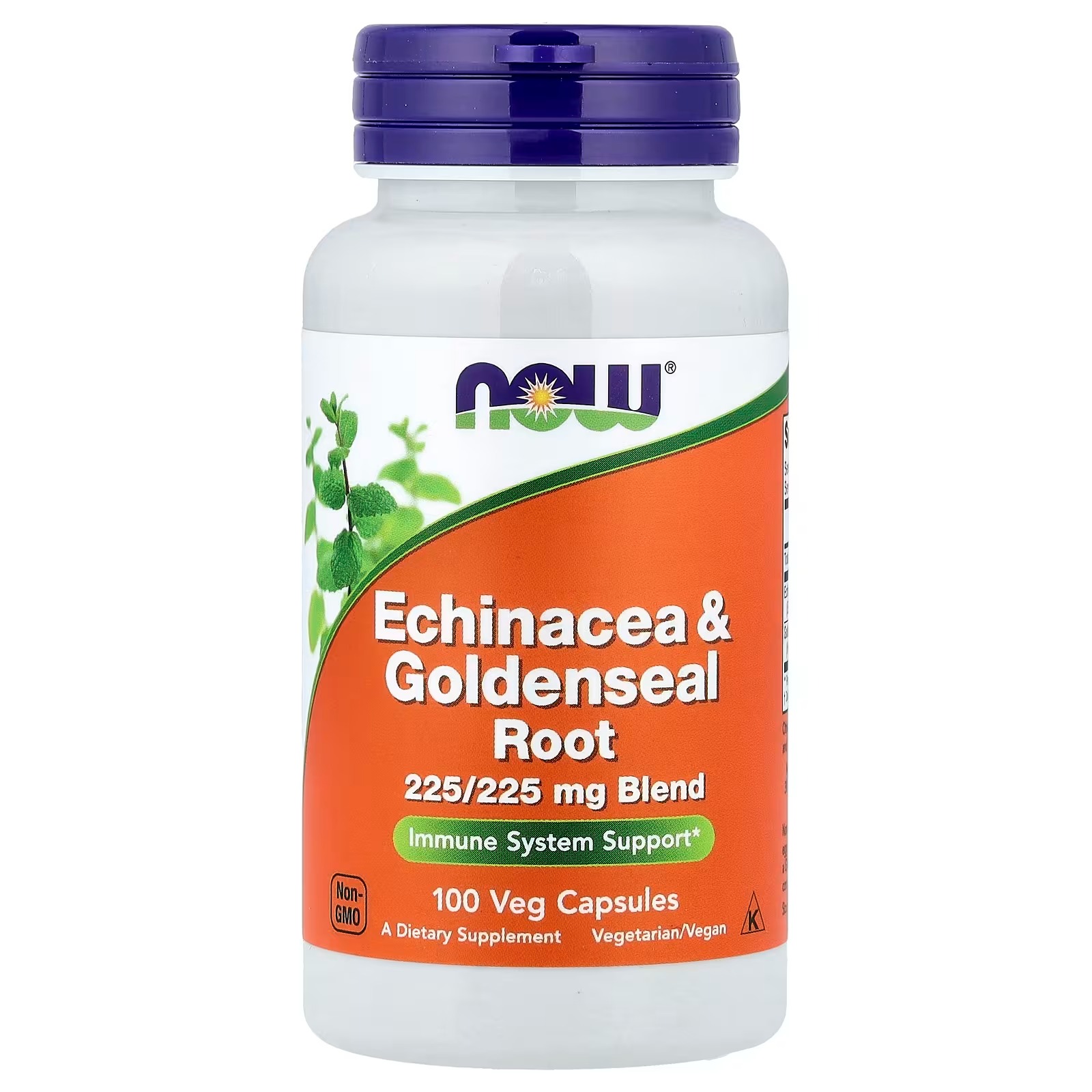 NOW Foods Echinacea (Purpurea Root) 400 mg Immune System Support 100 Veg Capsules