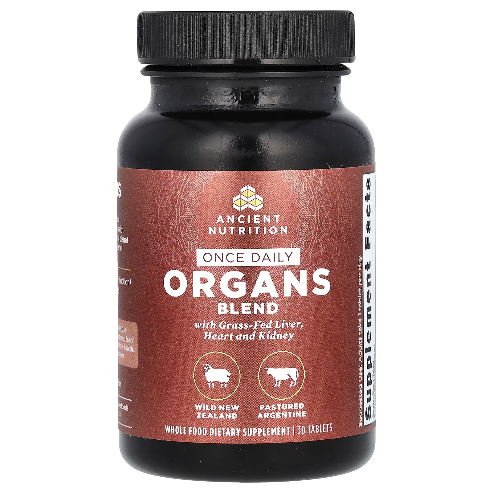 Ancient Nutrition Grass-Fed & Wild Male Performance Tablets – Once Daily, Men’s Wellness Supplement