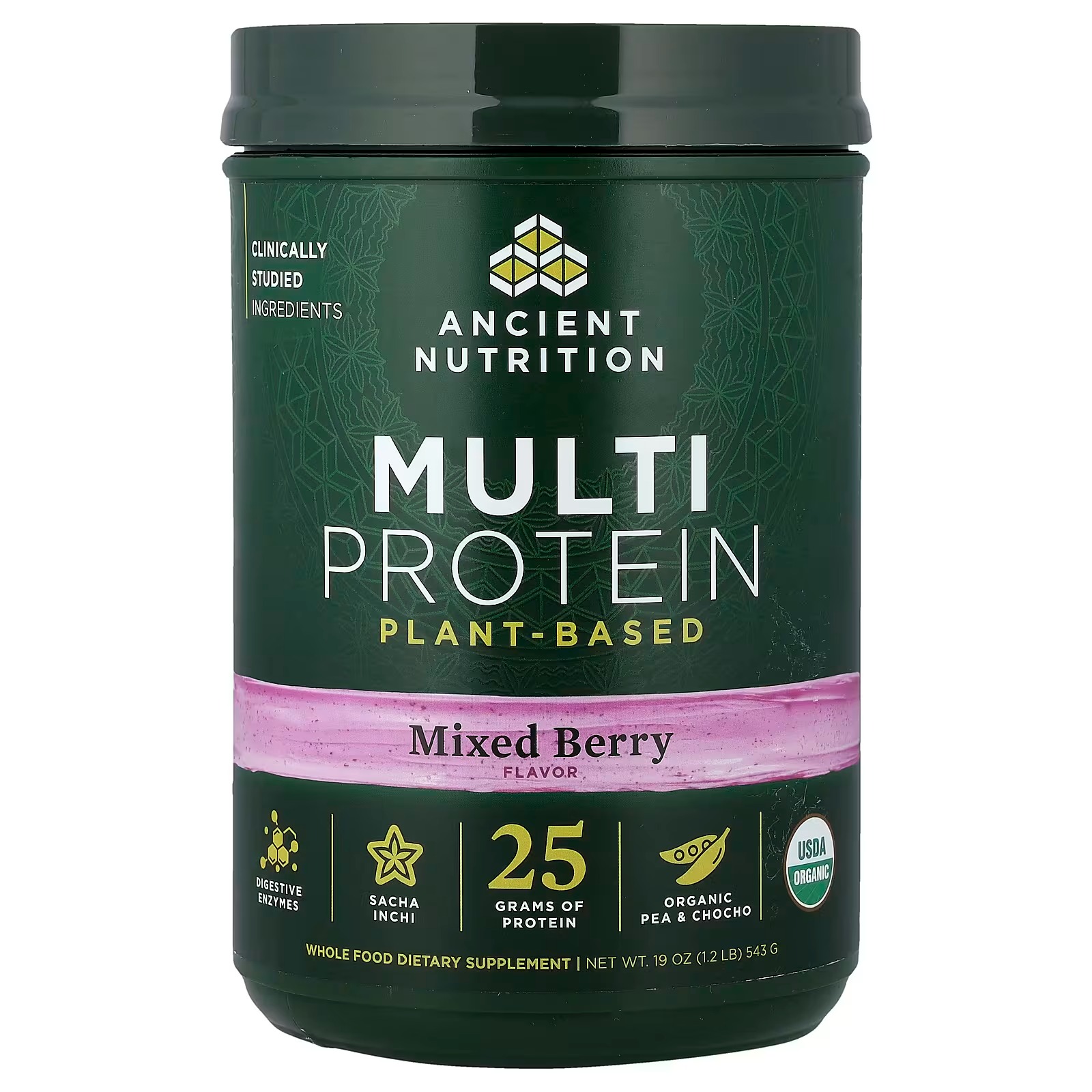Ancient Nutrition Organic Multi Protein Plant Powder – Mixed Berry, Plant-Based Protein Supplement