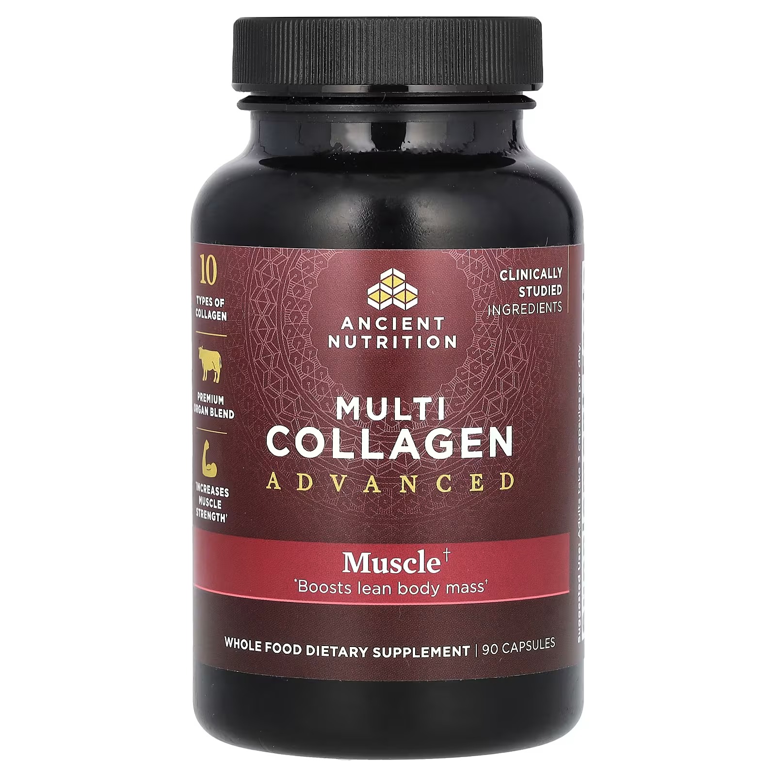 Ancient Nutrition Advanced Multi Collagen Protein Capsules – Muscle Support, 90 Count