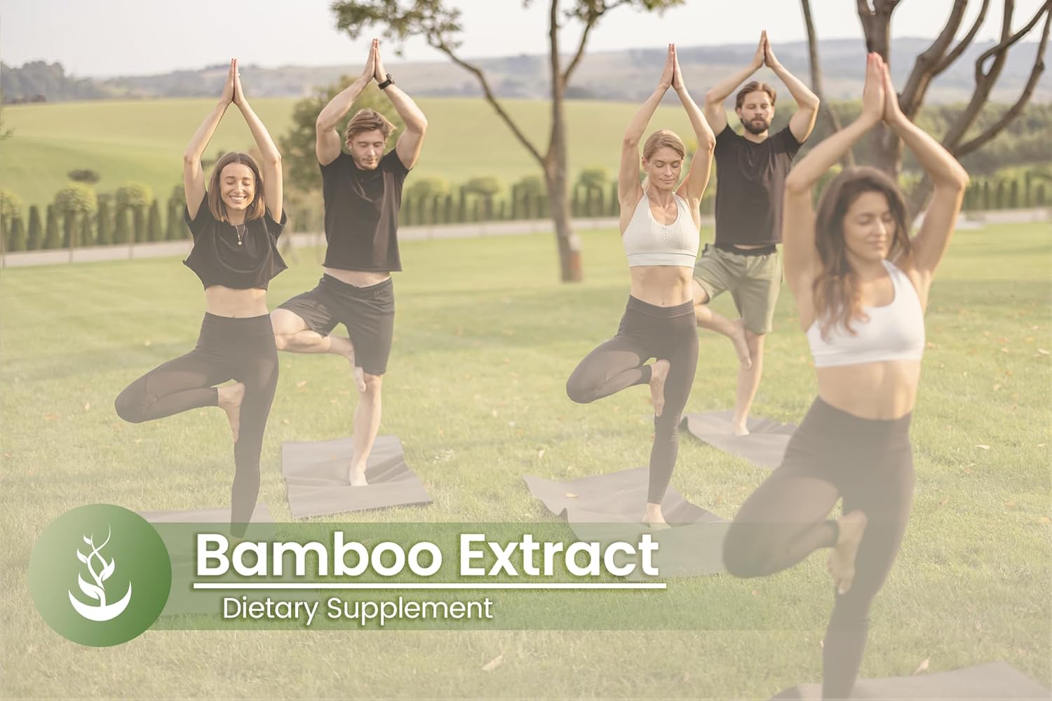 Bamboo Roots Capsules thumbnail 5