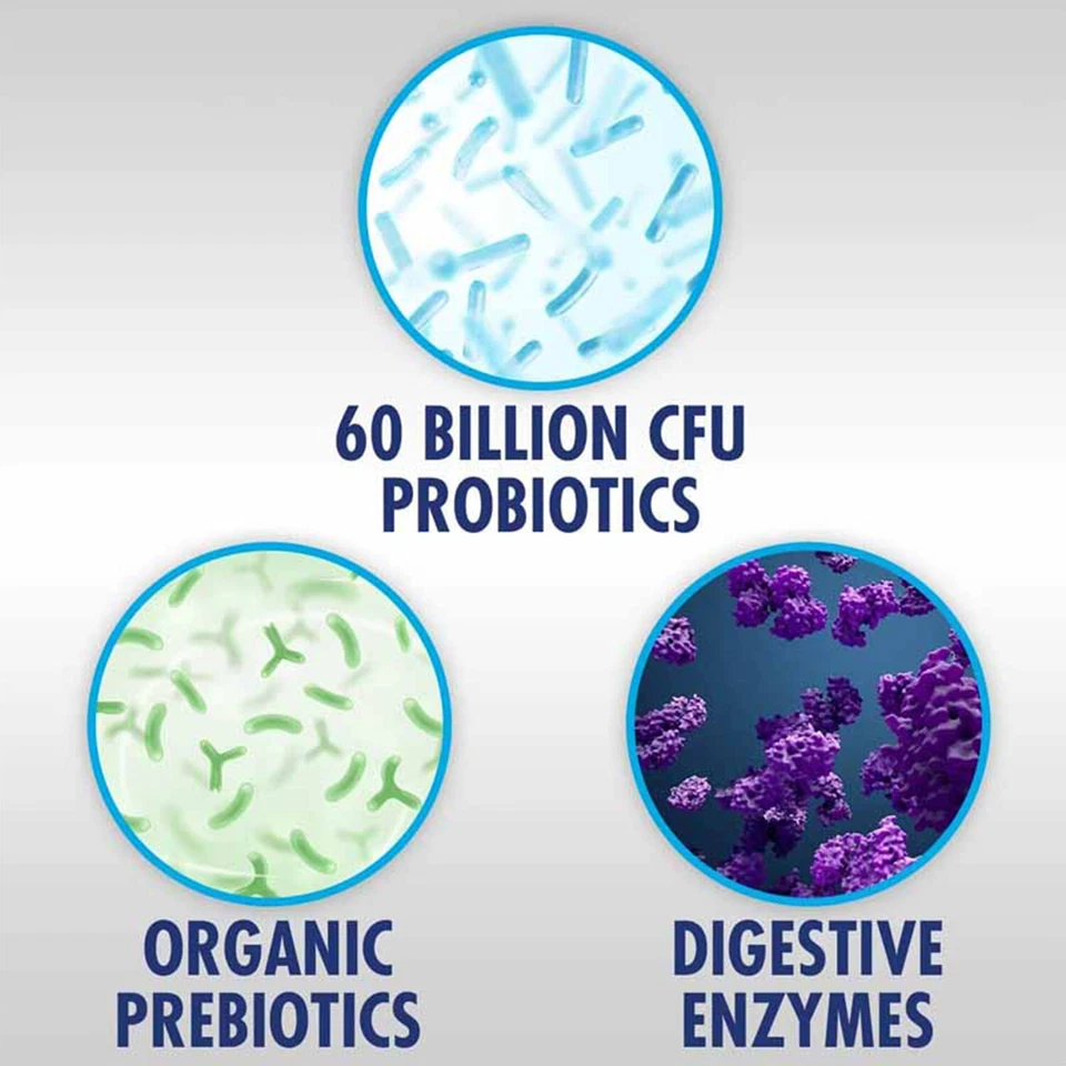 Pslalae Probiotic 60 Billion Capsules thumbnail 2