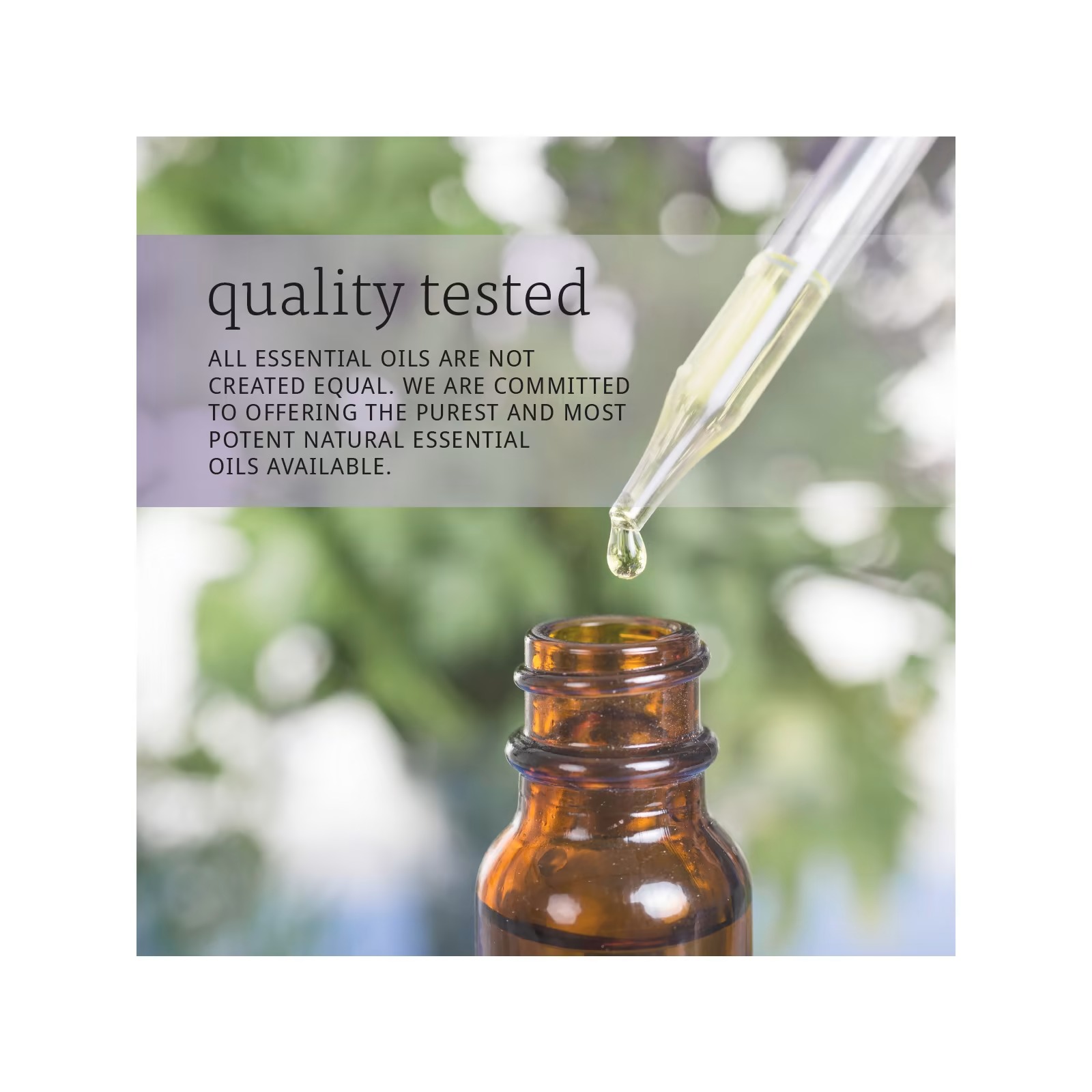 NOW Foods Essential Oils Neroli Oil Deeply Floral Aromatherapy Scent Steam Distilled, 100% Pure Vegan Child Resistant thumbnail 5