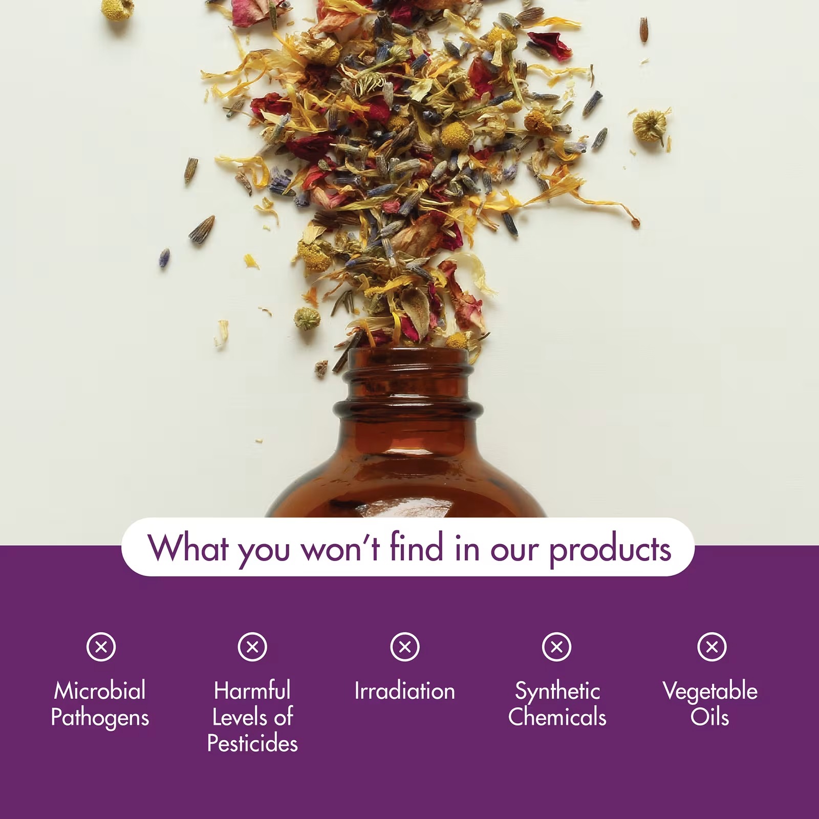 NOW Foods Essential Oils Balsam Fir Needle Oil Woodsy Aromatherapy Scent Steam Distilled 100% Pure Vegan 30ml thumbnail 4
