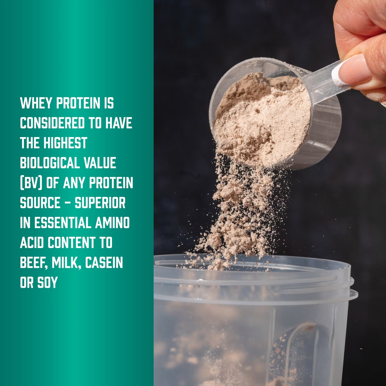 Now Foods Sports Whey Protein 26 g with BCAAs Matcha Powder 907 g thumbnail 3