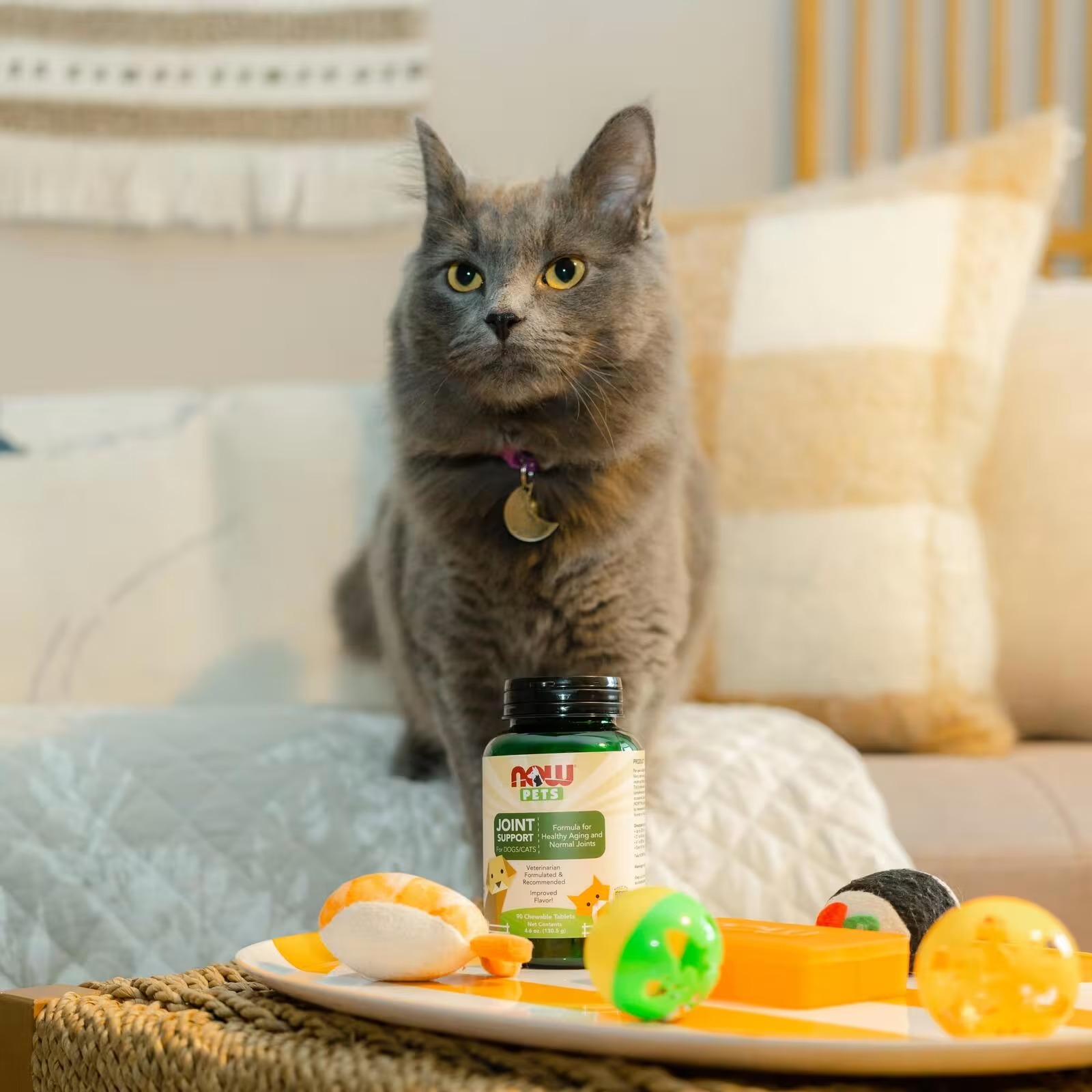 NOW Foods Pet Health Joint Support Supplement Formulated for Cats & Dogs NASC Certified 90 Chewable Tablets thumbnail 5