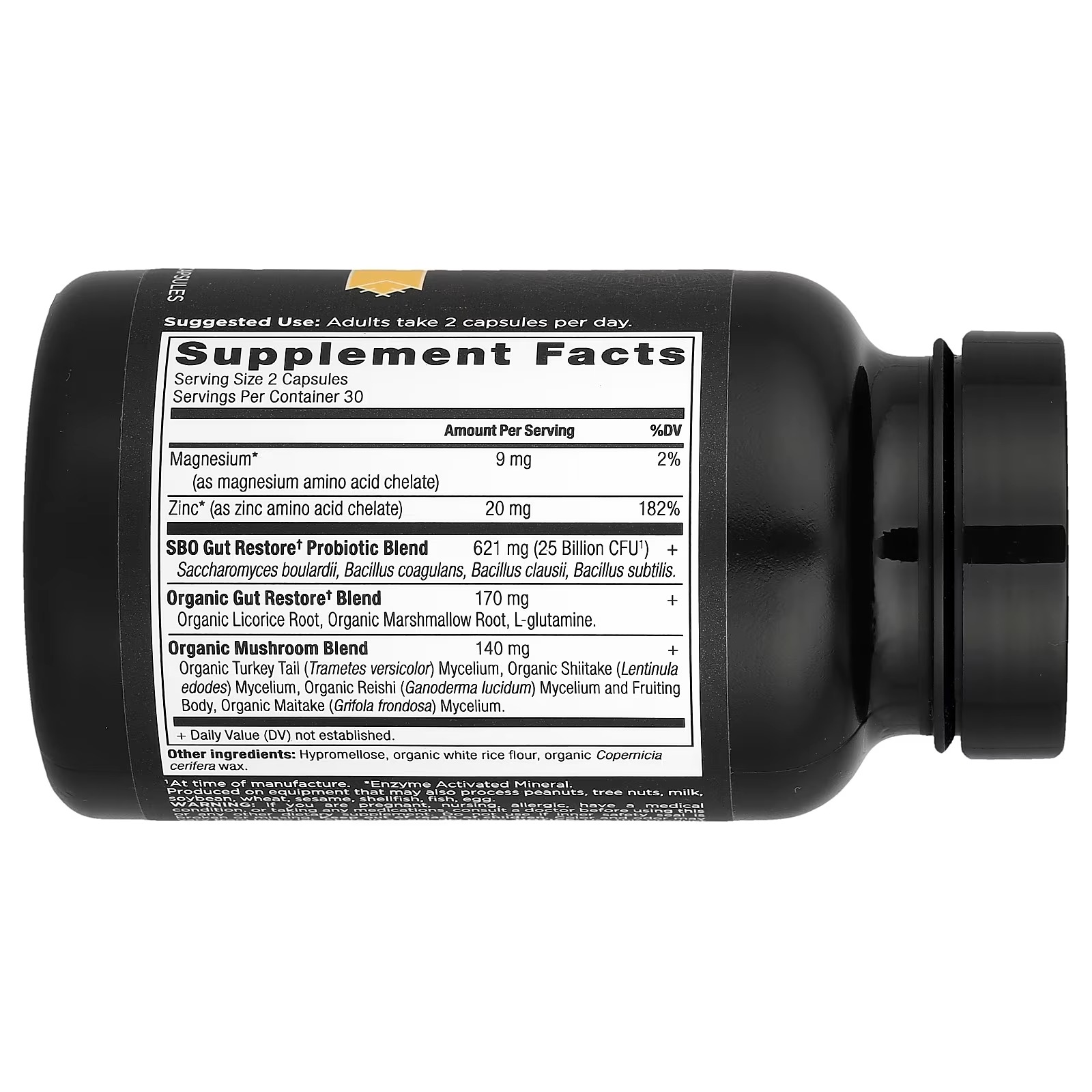 Ancient Nutrition SBO Probiotics Gut Restore 25 Billion CFUs – Probiotic Capsules, Gut Health Supplement thumbnail 2