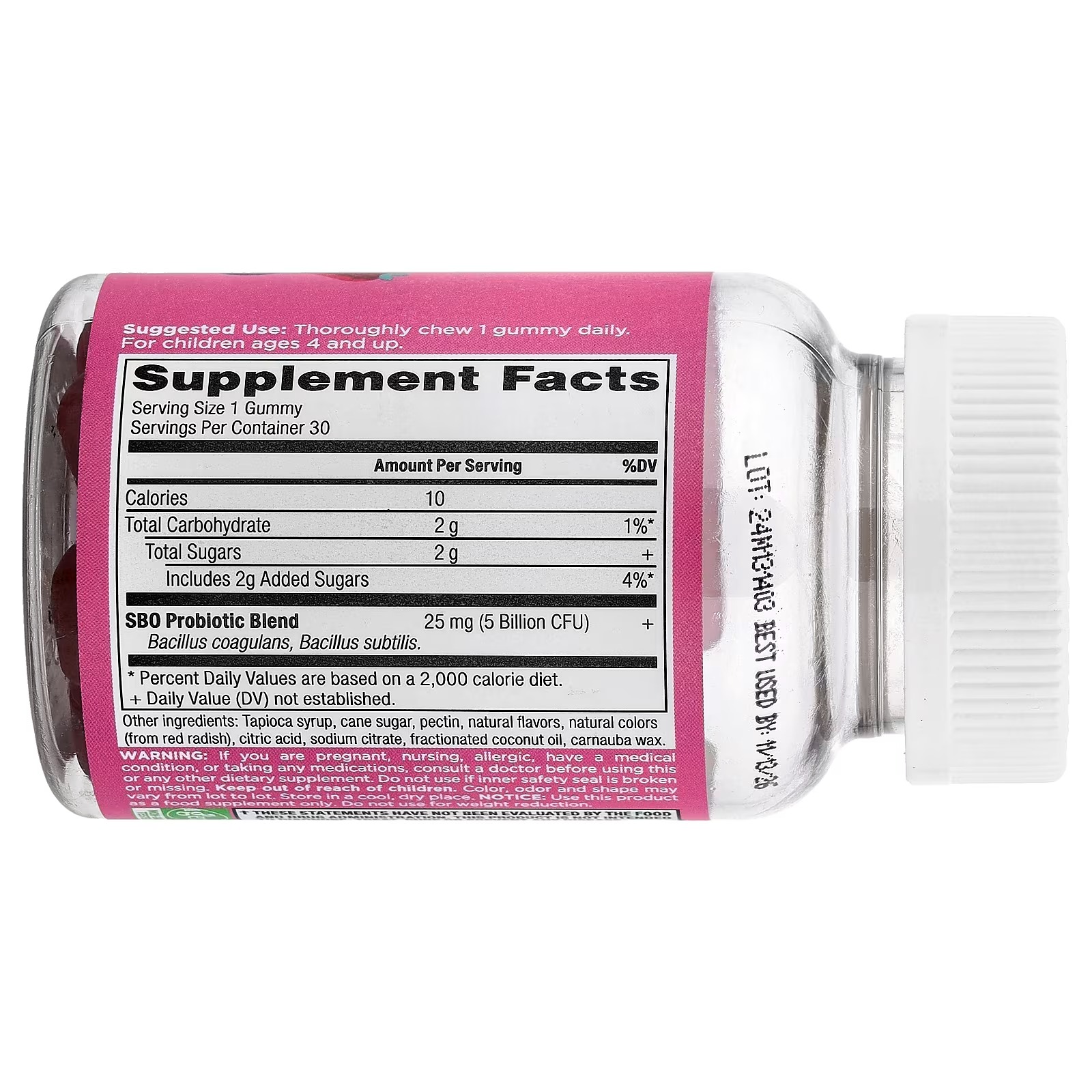 Ancient Nutrition SBO Probiotics Gummies 10 Billion CFUs – Berry Flavor, Probiotic Gut Health Supplement thumbnail 2