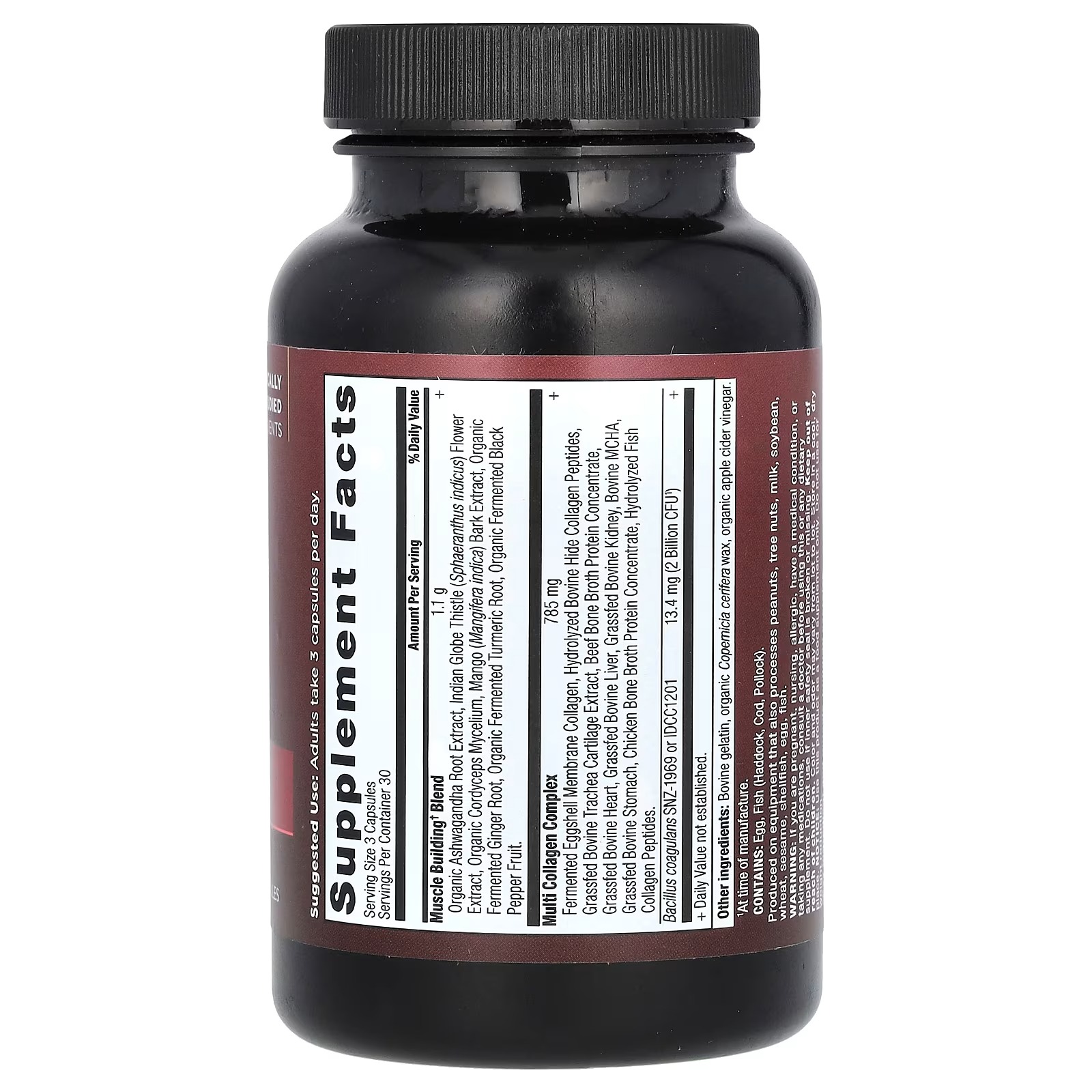 Ancient Nutrition Advanced Multi Collagen Protein Capsules – Muscle Support, 90 Count thumbnail 2