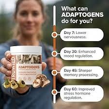 TruWild Adaptogen Blend with Cordyceps – Herbal Adaptogen Supplement thumbnail 3