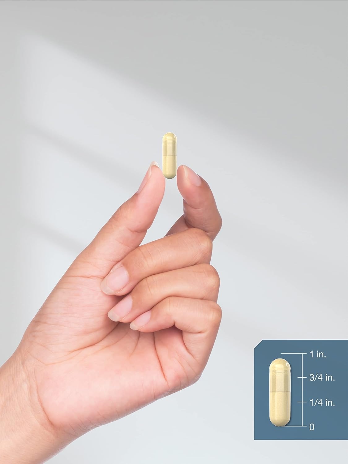 Horbäach Alpha Lipoic Acid 600mg – 240 Capsules with Biotin thumbnail 5