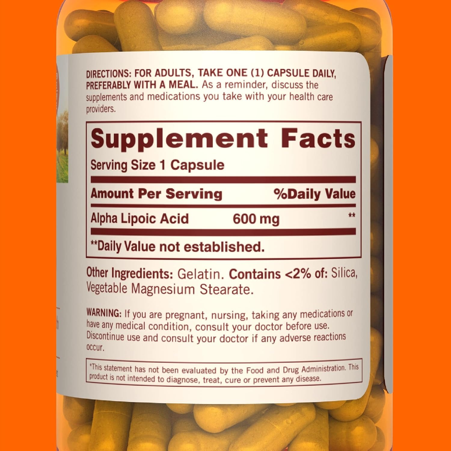 Sundown Alpha Lipoic Acid 600mg Capsules – ALA Supplement thumbnail 4