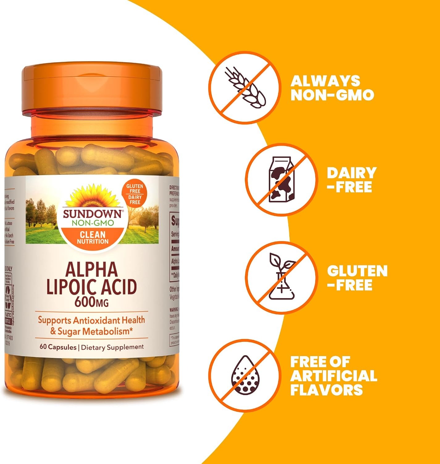 Sundown Alpha Lipoic Acid 600mg Capsules – ALA Supplement thumbnail 5