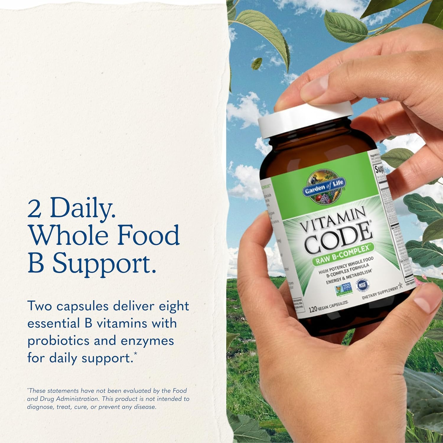 Garden of Life Vitamin Code B-Complex – Raw Vegan Capsules, 120 Count thumbnail 2