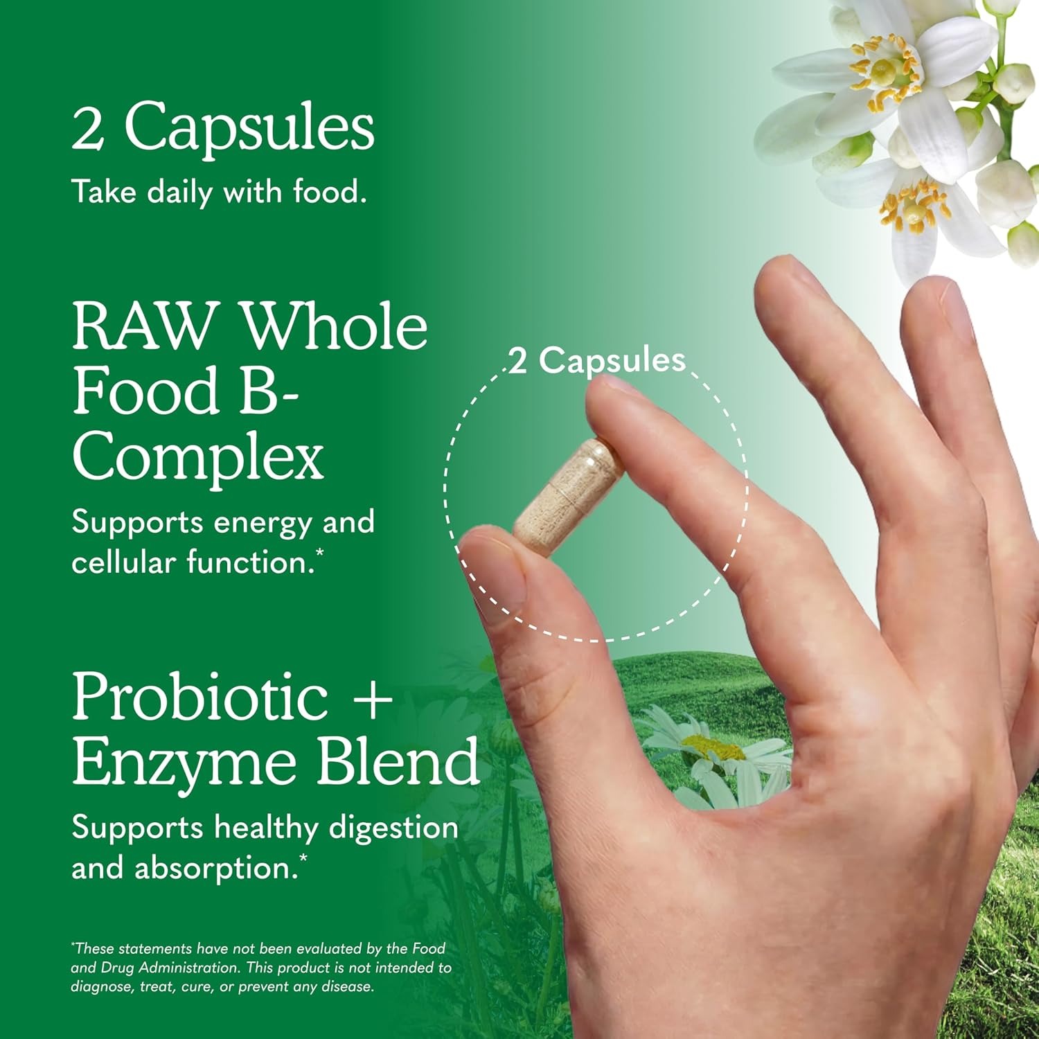 Garden of Life Vitamin Code B-Complex – Raw Vegan Capsules, 120 Count thumbnail 6