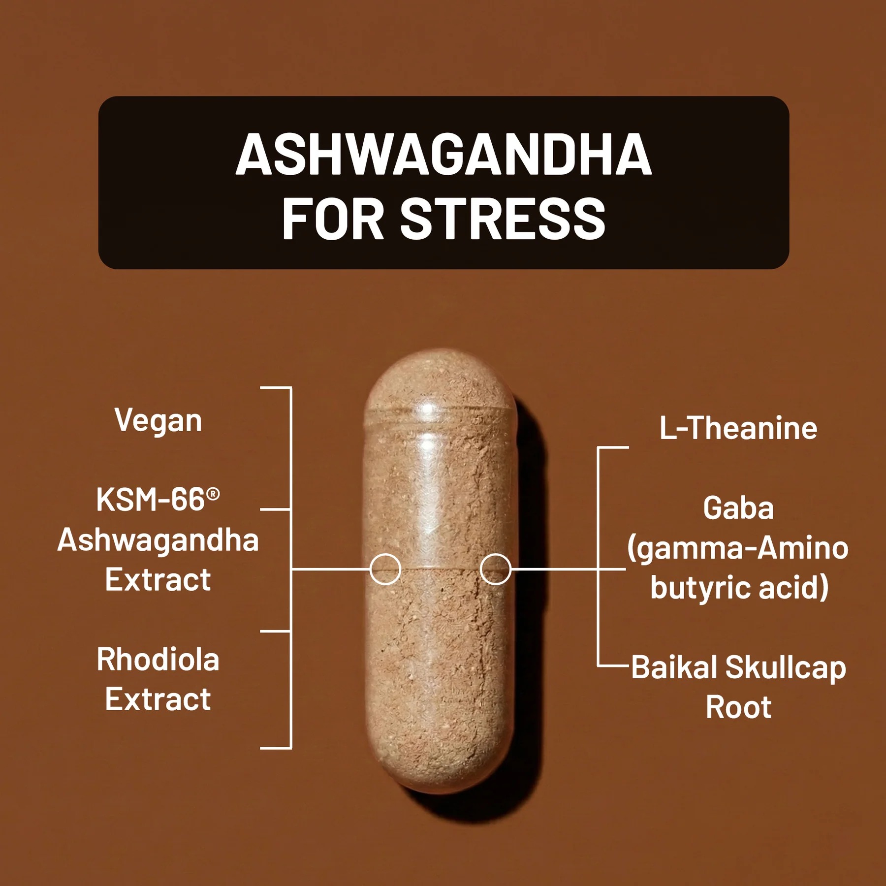 NatureWise Ashwagandha for Stress with KSM-66 Extract thumbnail 4