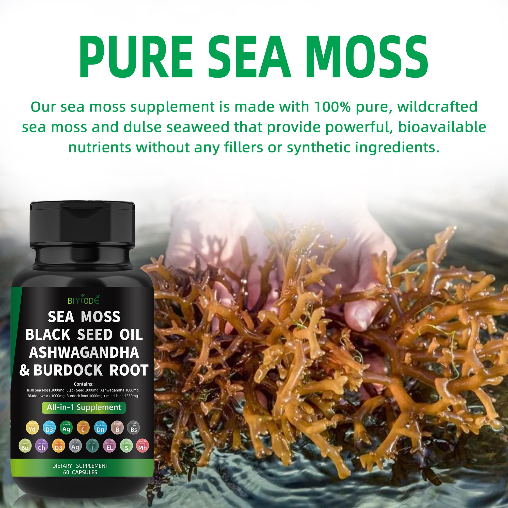 Sea Moss & Black Seed Oil 2000mg with Ashwagandha Capsules thumbnail 6