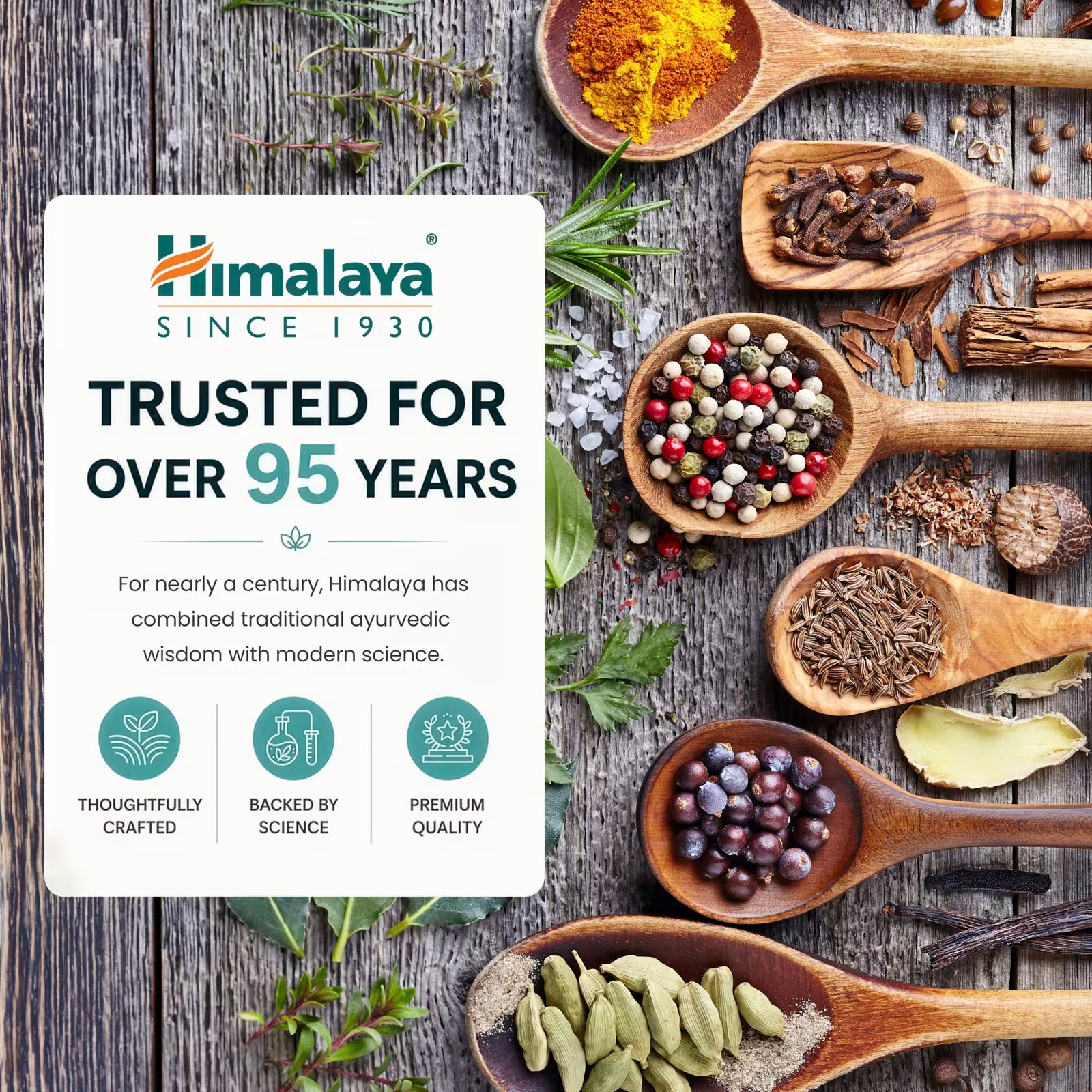Himalaya Berberine 500mg Per Capsule | Vegan Dietary Supplement thumbnail 5