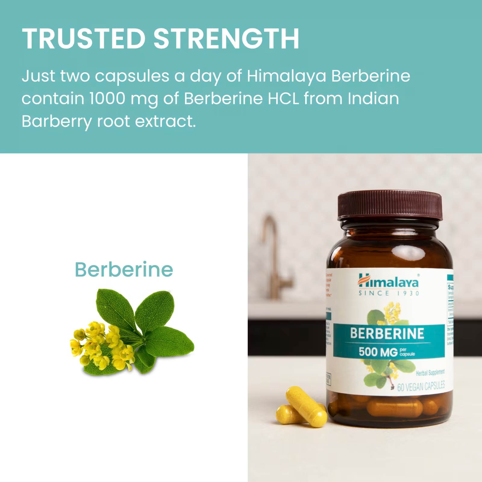 Himalaya Berberine 500mg Per Capsule | Vegan Dietary Supplement thumbnail 6