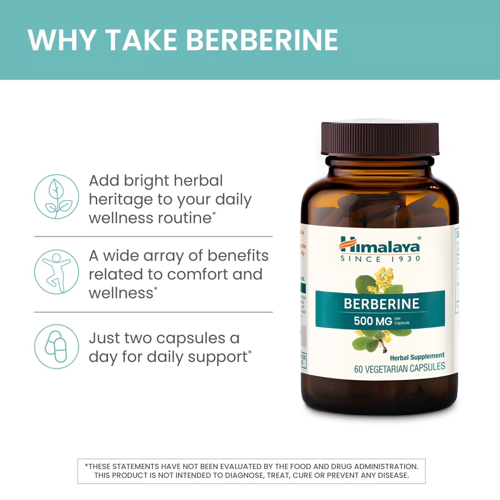 Himalaya Berberine 500mg Per Capsule | Vegan Dietary Supplement thumbnail 8