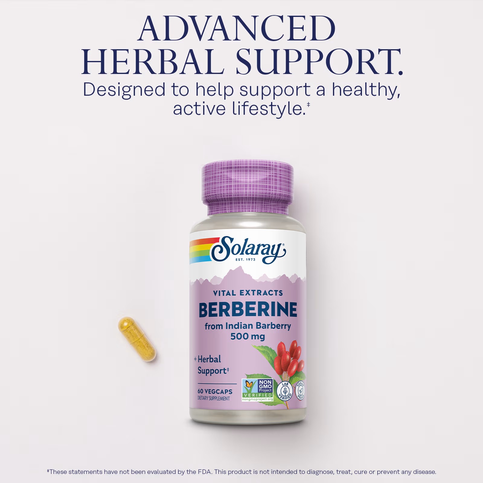 Solaray Vital Extracts Berberine 500mg | 60 VegCaps thumbnail 5