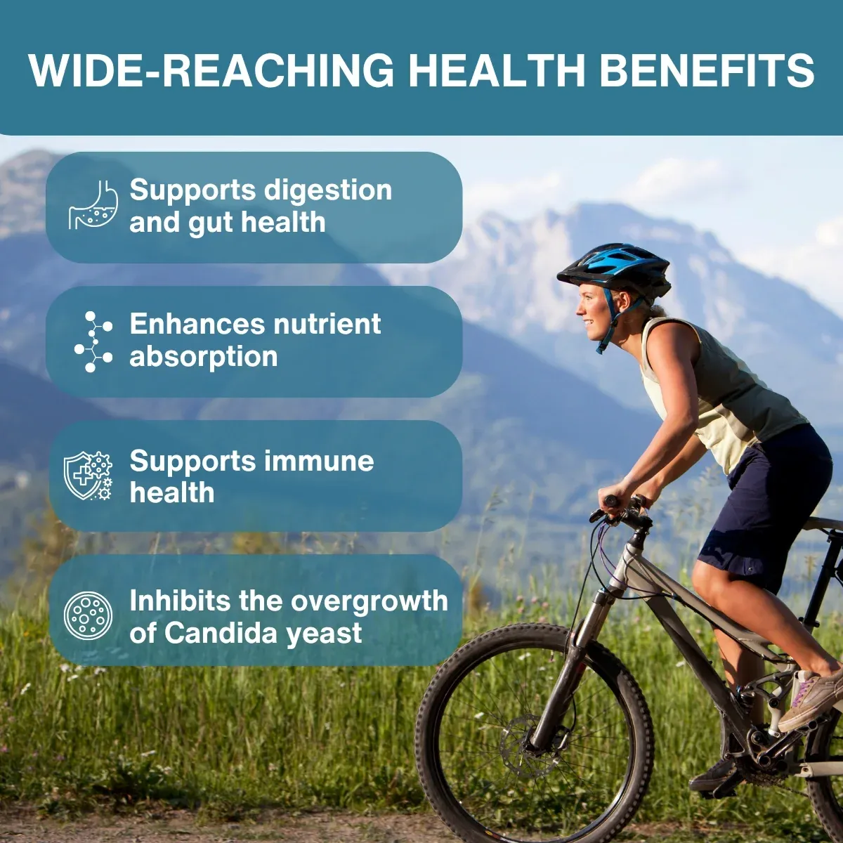 Igennus Broad Spectrum Digestive Enzymes & Betaine HCl | 90 Vegan Capsules thumbnail 5