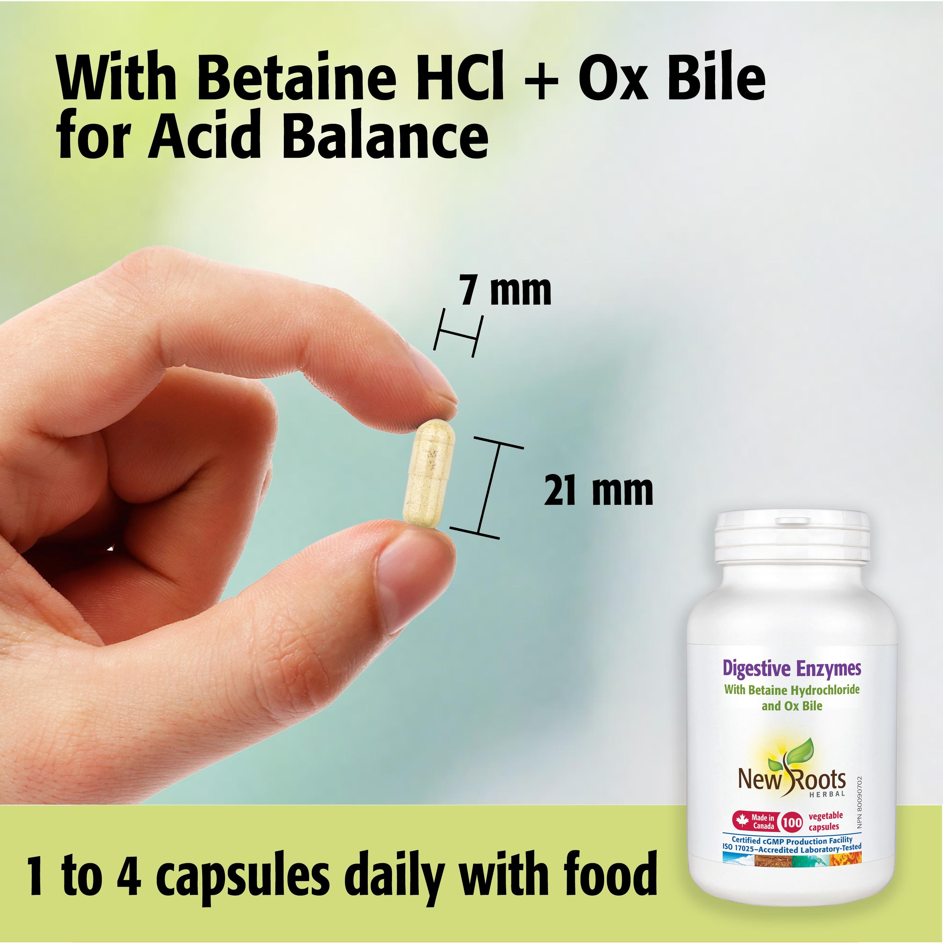 Digestive Enzymes with Ox Bile & Betaine HCl | Papain & Pepsin | 100 Capsules thumbnail 3