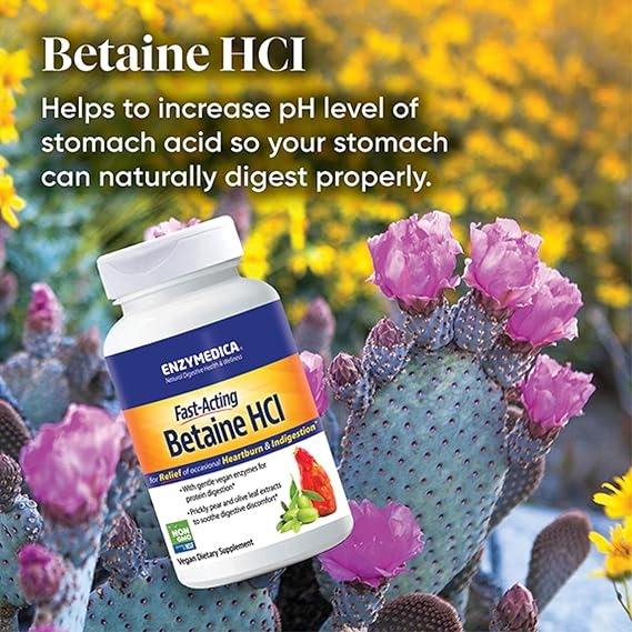 Enzymedica Betaine HCl for Men & Women | Indigestion Support | 120 Capsules thumbnail 4
