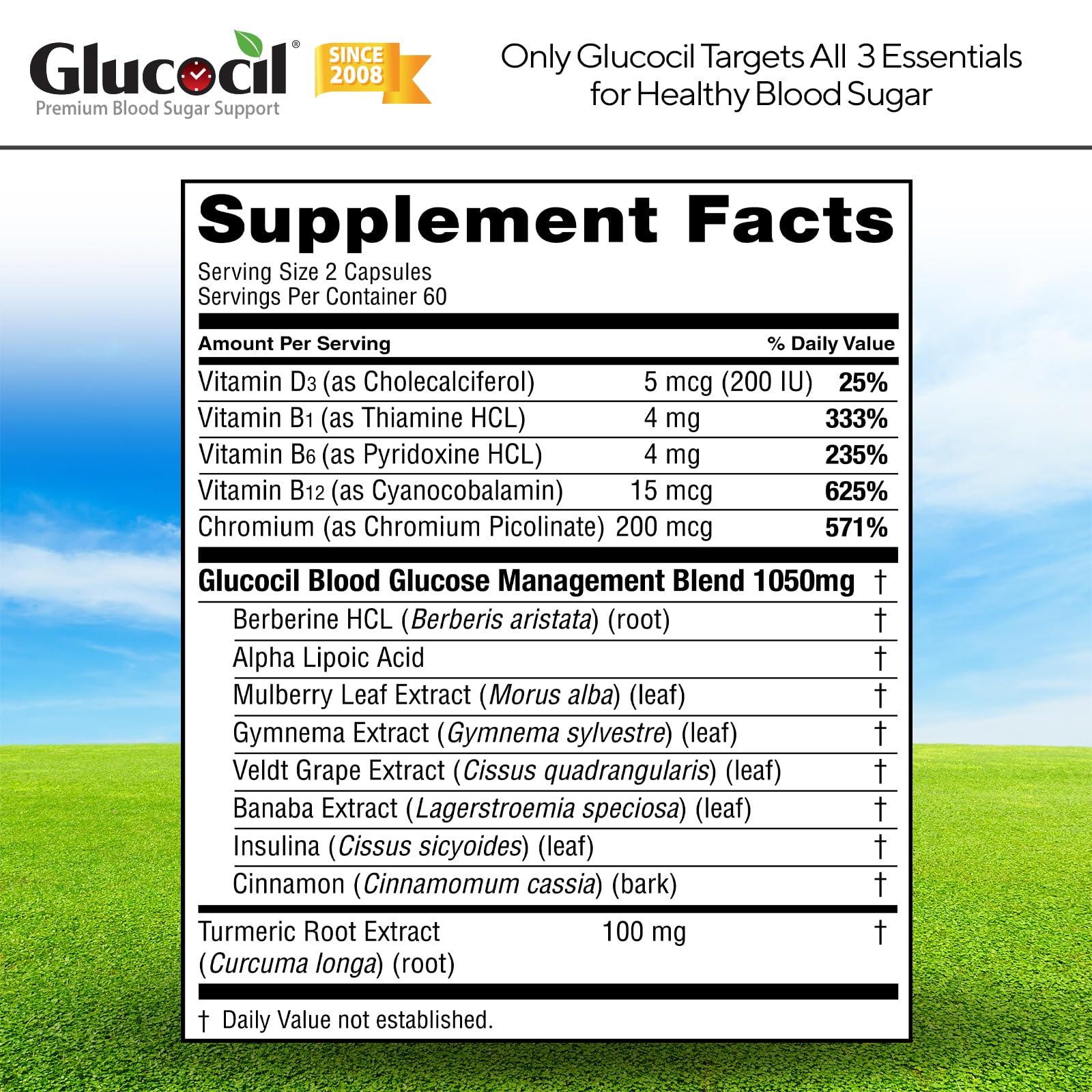 Glucocil Softgels 3-Pack | Premium Blood Sugar Support Supplement thumbnail 4