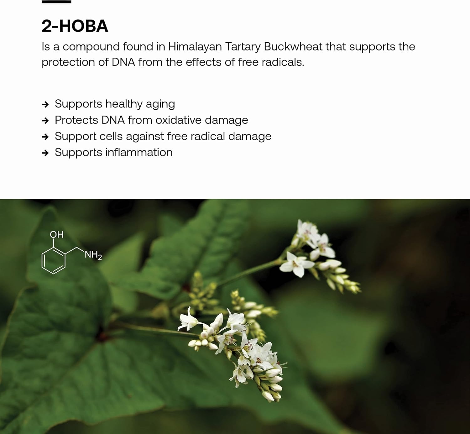 SRW Laboratories 2-HOBA 200mg | Healthy Aging & Brain Function Support | 60 Veg Capsules thumbnail 2