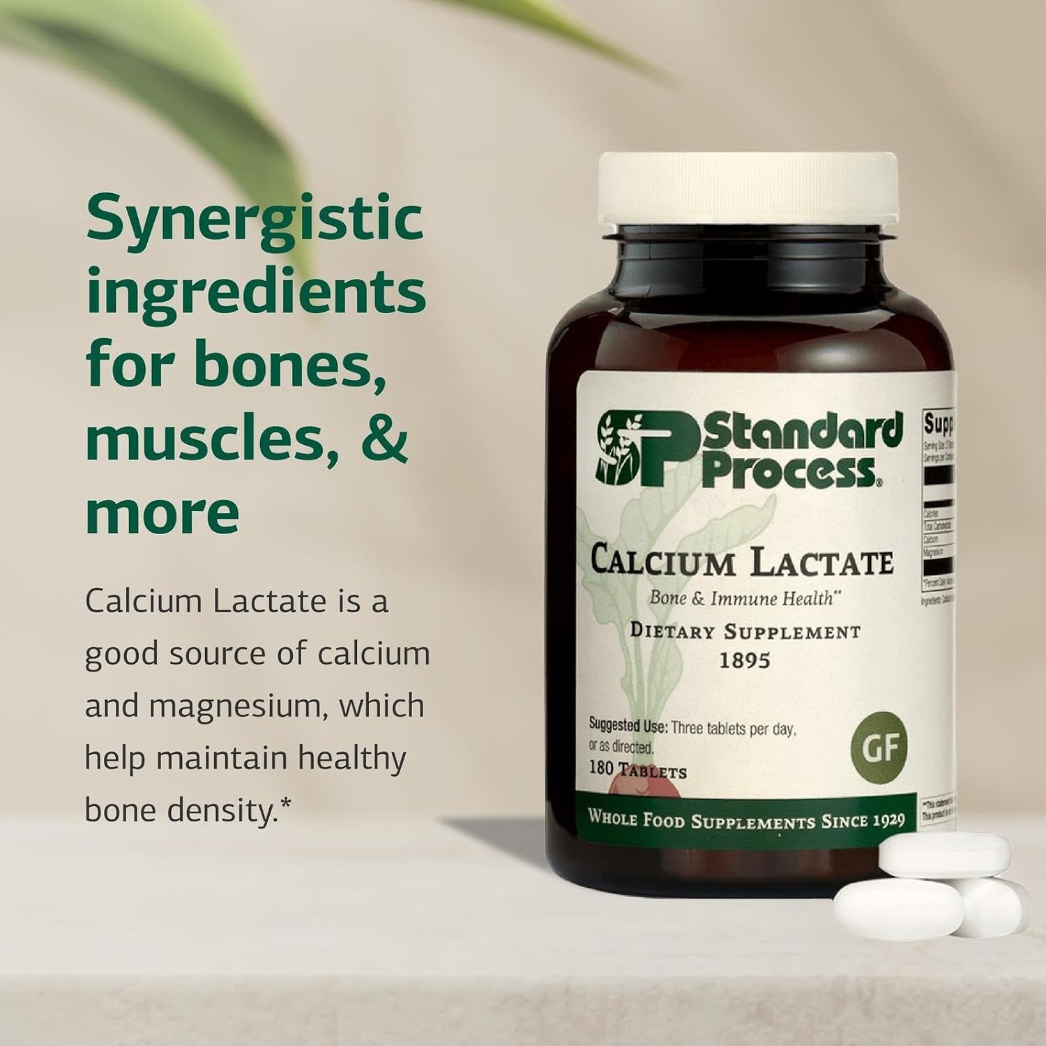 Standard Process Calcium Lactate | Bone & Immune Support | 180 Tablets thumbnail 7