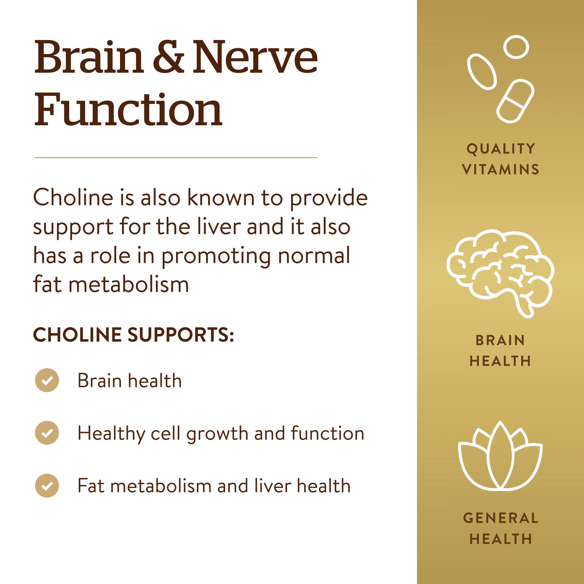 Solgar Choline 350mg Vegetable Capsules | Daily Choline Supplement | 100 Count thumbnail 6