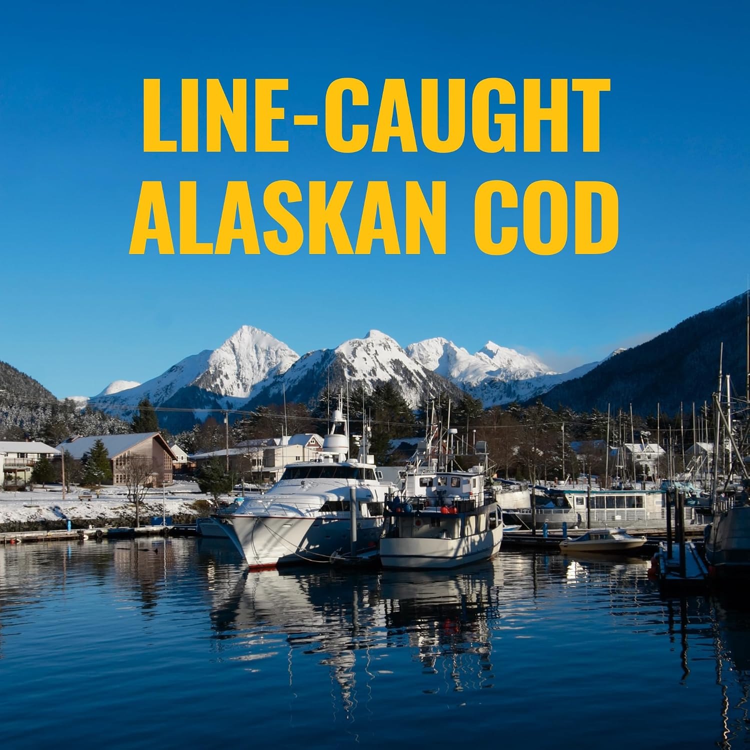 On Target Living Alaskan Cod Liver Oil | Organic Lemon | 16.67 oz | 2-Pack thumbnail 2