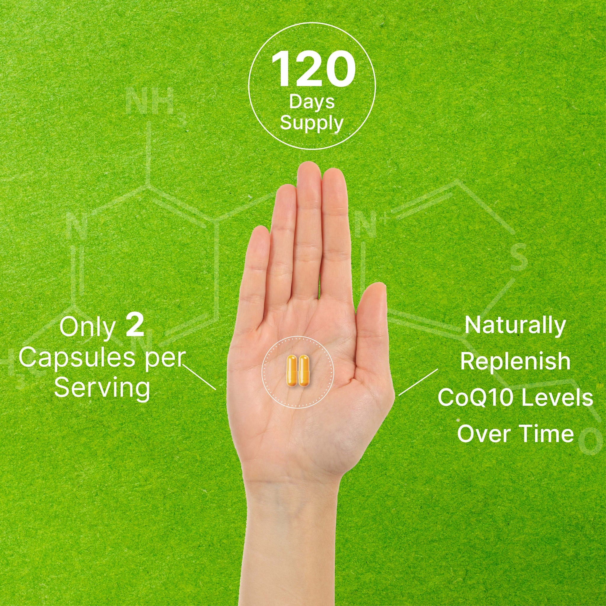 DEAL SUPPLEMENT CoQ10 PQQ Complex – Heart & Energy Support thumbnail 2