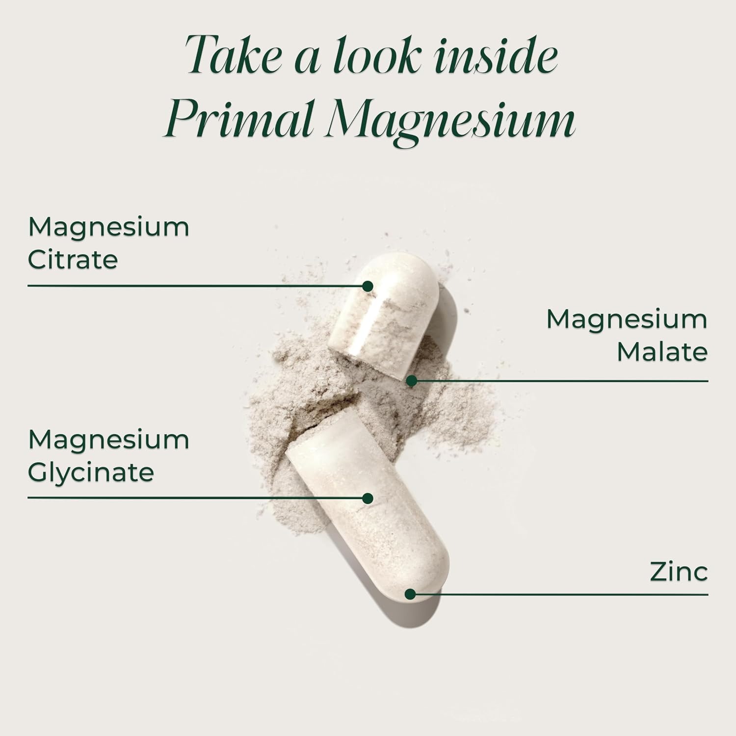Primal Harvest Magnesium Supplement | Daily Wellness | Vegan & Gluten Free thumbnail 4