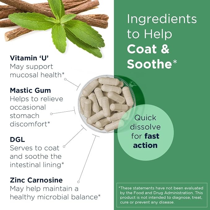 GastroMend HP by Designs for Health | Mastic Gum Supplement | 60 Caps thumbnail 3