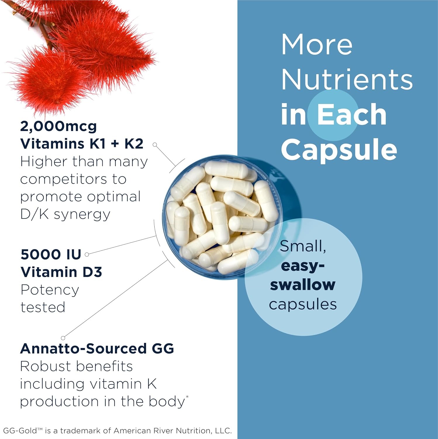 Designs for Health Vitamin D Supreme | Vitamin D3 5000 IU & K2 | 30 thumbnail 2