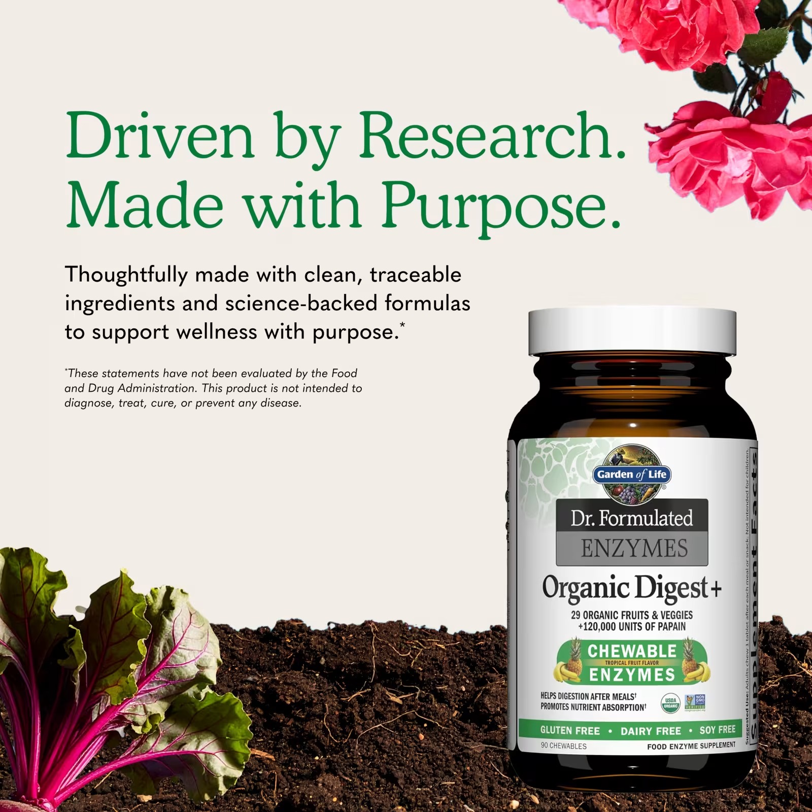 Garden of Life Dr. Formulated Enzymes Organic Digest+ | 90 Chewables thumbnail 3