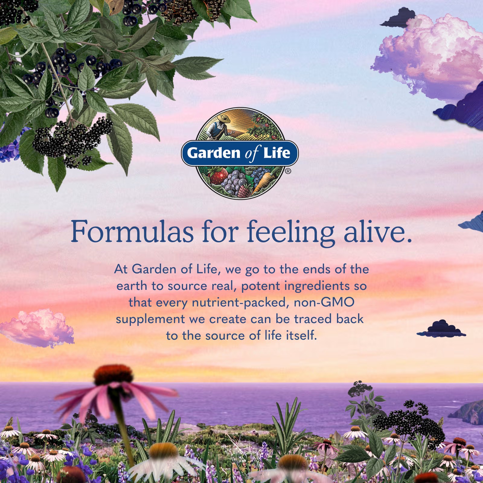 Garden of Life Dr. Formulated Enzymes Organic Digest+ | 90 Chewables thumbnail 2
